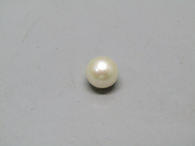 Pearl South Sea (Moti) 4.6 Carats South Sea (Moti) 4.6 Carats CSQ0042593