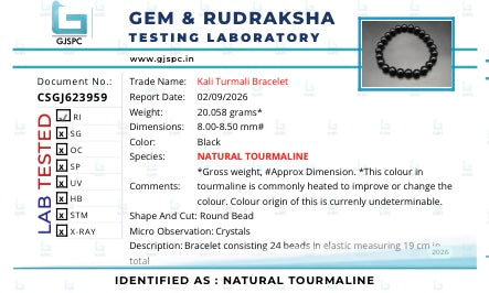 Natural Black Tourmaline Bracelet 8mm| Protection and Grounding | Best Quality | 100% Natural
