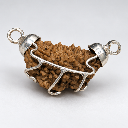 1 Mukhi Kaju Rudraksha (Meditation & Spiritual Focus) | GemKrishna