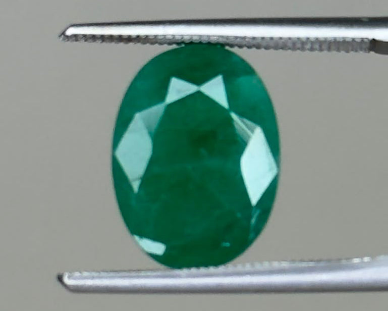 Emerald 5.60 carats oval gemstone shown between two metal tweezers