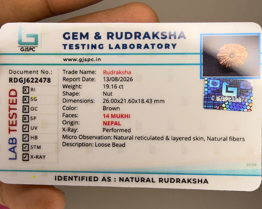 GJSPC laboratory certificate label for natural rudraksha 14 mukhi with Nepal details