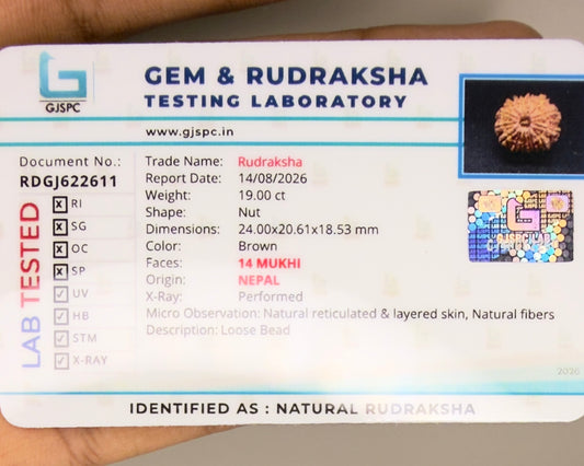 Rudraksha testing laboratory certificate showing natural 14 Mukhi Nepal rudraksha details