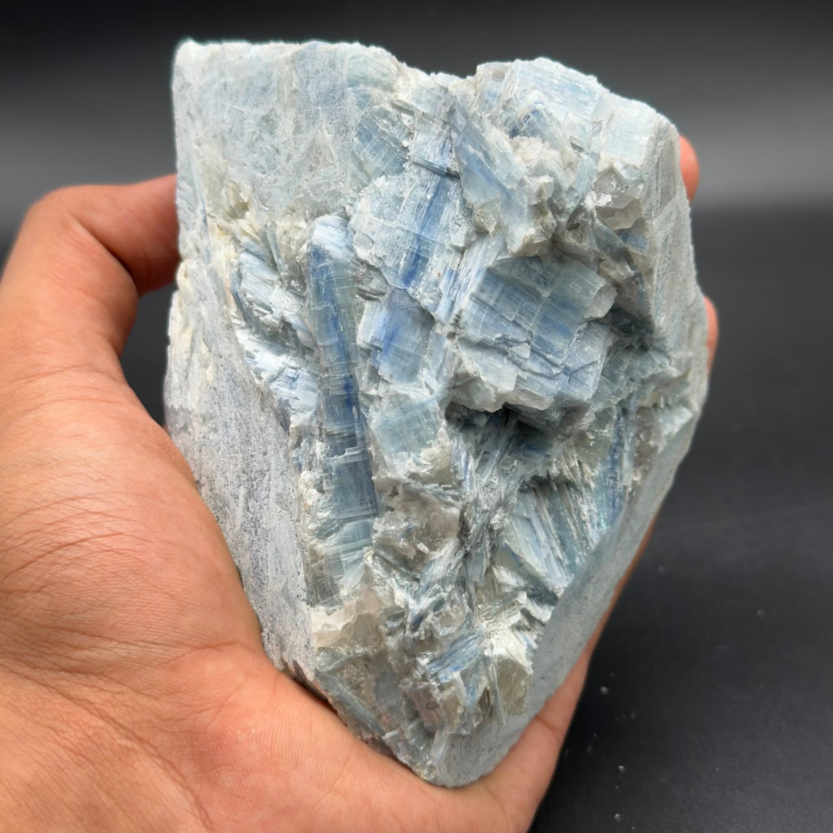 Natural rough blue kyanite crystal cluster with blue blade crystals held up