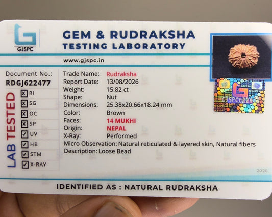 Gem and Rudraksha testing laboratory certificate for natural rudraksha bead