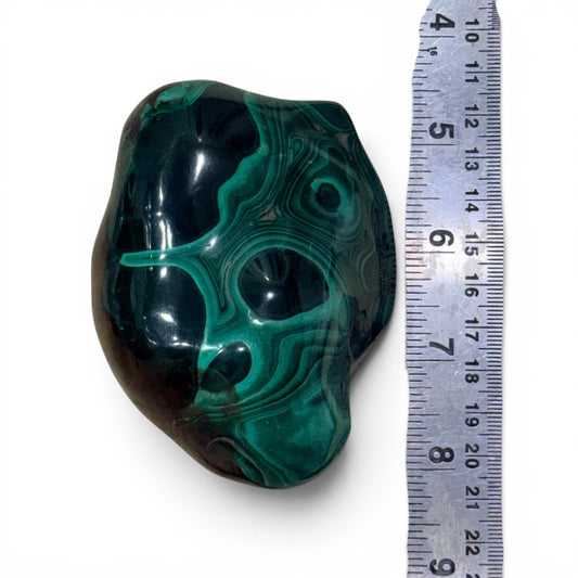 Polished malachite freeform stone shown next to a ruler for size