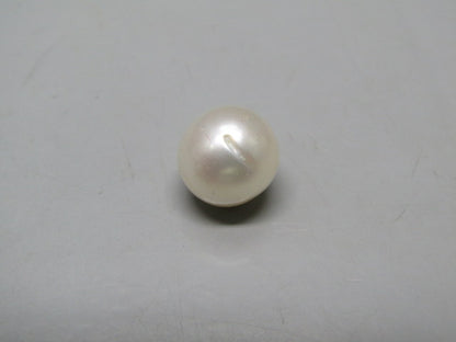 Pearl South Sea (Moti) 10.94 Carats South Sea (Moti) 10.94 Carats CSQ0042357