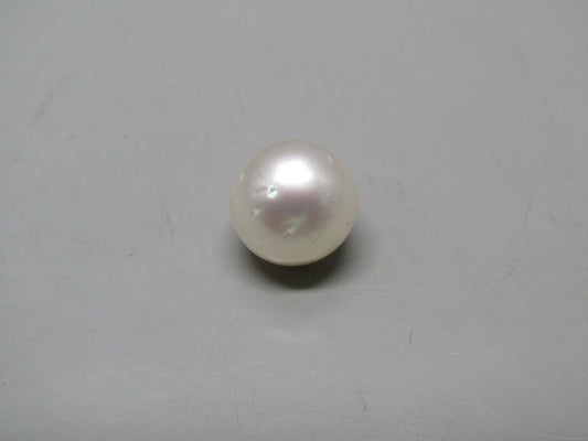 Pearl South Sea (Moti) 11.22 Carats South Sea (Moti) 11.22 Carats CSQ0042359