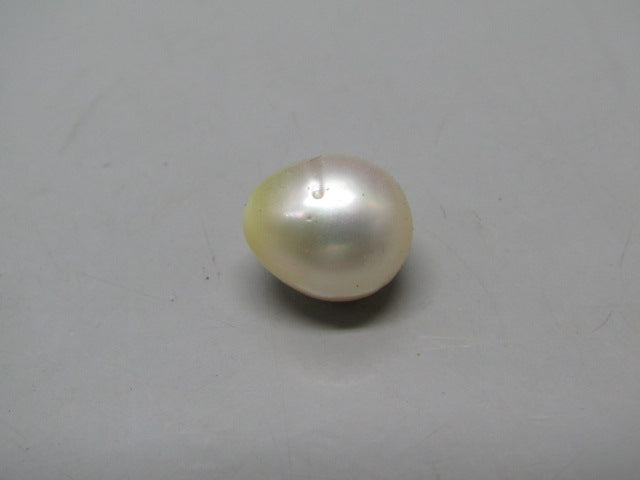 Pearl South Sea (Moti) 13.06 Carats South Sea (Moti) 13.06 Carats CSQ0042388