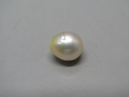 Pearl South Sea (Moti) 13.06 Carats South Sea (Moti) 13.06 Carats CSQ0042388