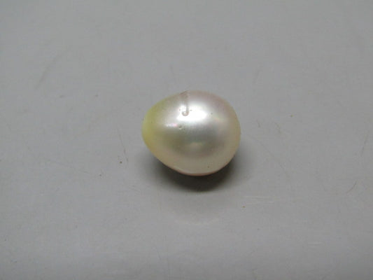 Pearl South Sea (Moti) 13.06 Carats South Sea (Moti) 13.06 Carats CSQ0042388