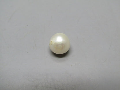 Pearl South Sea (Moti) 5.94 Carats South Sea (Moti) 5.94 Carats CSQ0042392