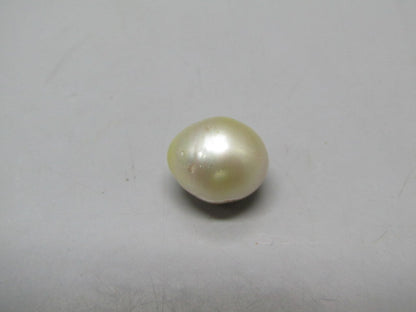 Pearl South Sea (Moti) 9.65 Carats South Sea (Moti) 9.65 Carats CSQ0042394