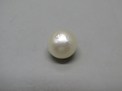 Pearl South Sea (Moti) 15 Carats South Sea (Moti) 15 Carats CSQ0042403