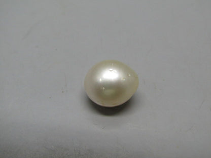 Pearl South Sea (Moti) 12.02 Carats South Sea (Moti) 12.02 Carats CSQ0042407