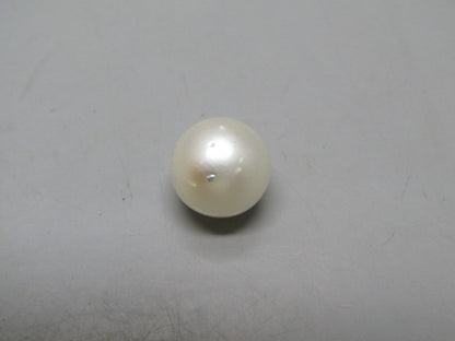 Pearl South Sea (Moti) 12.38 Carats South Sea (Moti) 12.38 Carats CSQ0042419