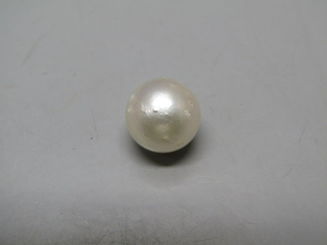 Pearl South Sea (Moti) 12.72 Carats South Sea (Moti) 12.72 Carats CSQ0042424