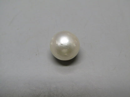 Pearl South Sea (Moti) 12.72 Carats South Sea (Moti) 12.72 Carats CSQ0042424