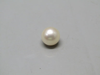 Pearl South Sea (Moti) 5.25 Carats South Sea (Moti) 5.25 Carats CSQ0042447