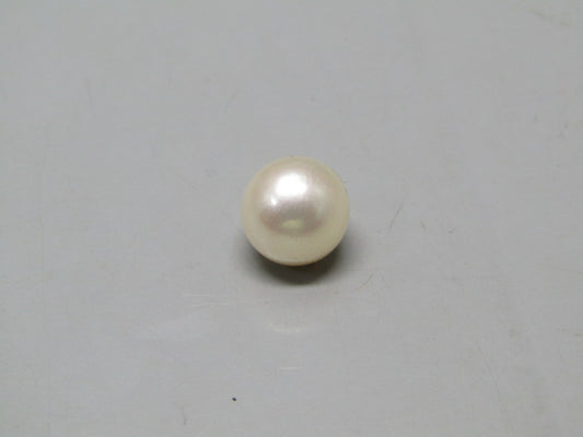 Pearl South Sea (Moti) 5.25 Carats South Sea (Moti) 5.25 Carats CSQ0042447