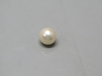 Pearl South Sea (Moti) 3.88 Carats South Sea (Moti) 3.88 Carats CSQ0042450