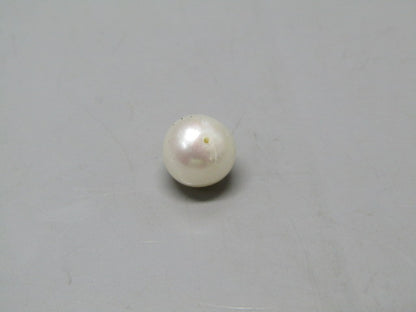 Pearl South Sea (Moti) 3.65 Carats South Sea (Moti) 3.65 Carats CSQ0042452