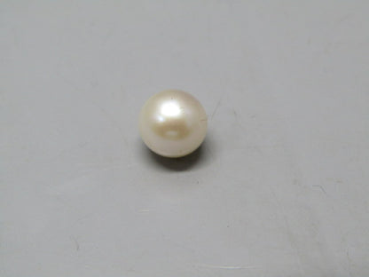 Pearl South Sea (Moti) 4.4 Carats South Sea (Moti) 4.4 Carats CSQ0042458