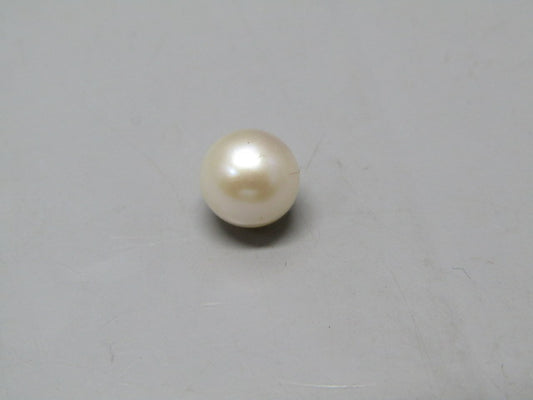 Pearl South Sea (Moti) 4.4 Carats South Sea (Moti) 4.4 Carats CSQ0042458