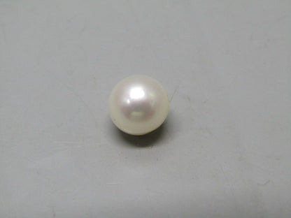 Pearl South Sea (Moti) 4.88 Carats South Sea (Moti) 4.88 Carats CSQ0042462