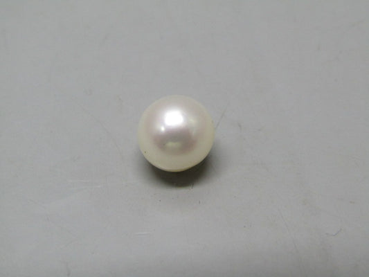 Pearl South Sea (Moti) 4.88 Carats South Sea (Moti) 4.88 Carats CSQ0042462