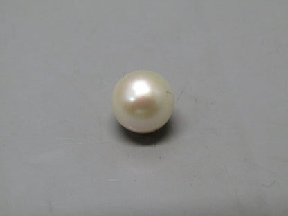 Pearl South Sea (Moti) 4.91 Carats South Sea (Moti) 4.91 Carats CSQ0042463