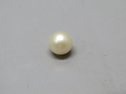 Pearl South Sea (Moti) 4.44 Carats South Sea (Moti) 4.44 Carats CSQ0042470