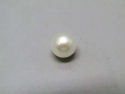 Pearl South Sea (Moti) 4.6 Carats South Sea (Moti) 4.6 Carats CSQ0042473