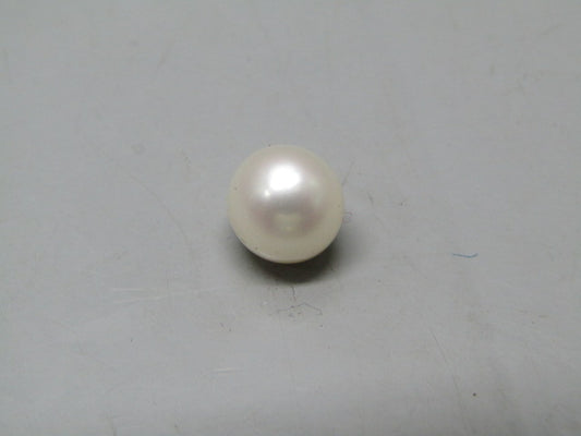 Pearl South Sea (Moti) 4.8 Carats South Sea (Moti) 4.8 Carats CSQ0042476