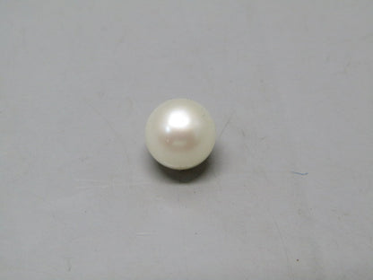 Pearl South Sea (Moti) 4.5 Carats South Sea (Moti) 4.5 Carats CSQ0042482