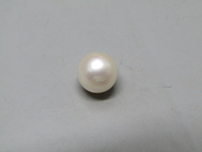 Pearl South Sea (Moti) 4.38 Carats South Sea (Moti) 4.38 Carats CSQ0042489