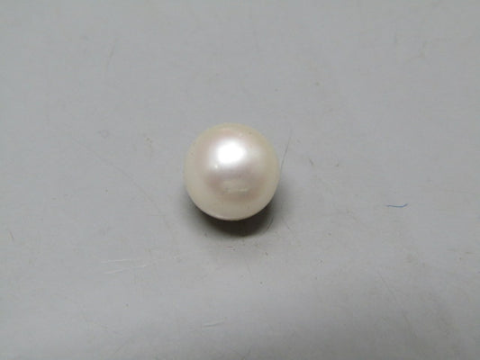 Pearl South Sea (Moti) 4.38 Carats South Sea (Moti) 4.38 Carats CSQ0042489