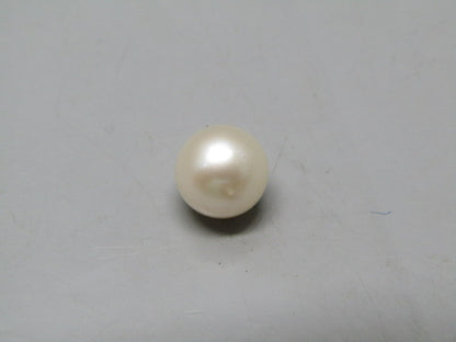 Pearl South Sea (Moti) 4.67 Carats South Sea (Moti) 4.67 Carats CSQ0042491