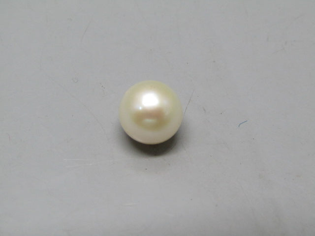 Pearl South Sea (Moti) 4.97 Carats South Sea (Moti) 4.97 Carats CSQ0042495
