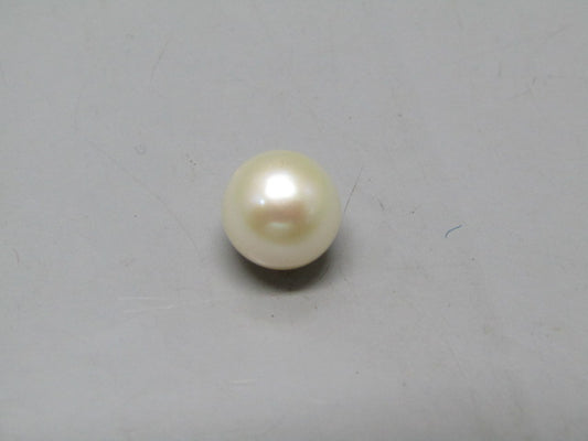Pearl South Sea (Moti) 4.97 Carats South Sea (Moti) 4.97 Carats CSQ0042495