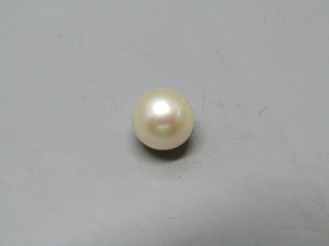 Pearl South Sea (Moti) 4.3 Carats South Sea (Moti) 4.3 Carats CSQ0042496