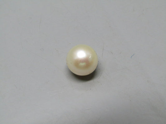 Pearl South Sea (Moti) 4.3 Carats South Sea (Moti) 4.3 Carats CSQ0042496