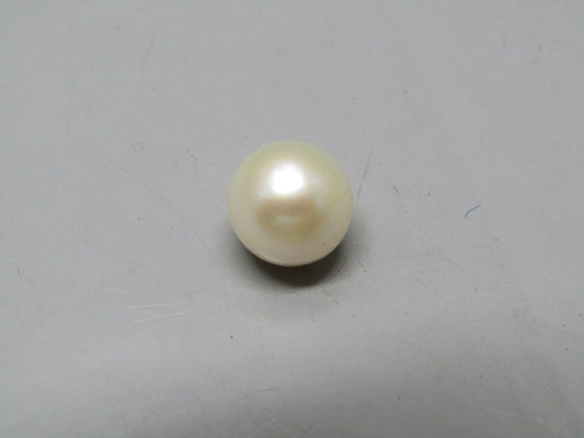 Pearl South Sea (Moti) 4.88 Carats South Sea (Moti) 4.88 Carats CSQ0042501