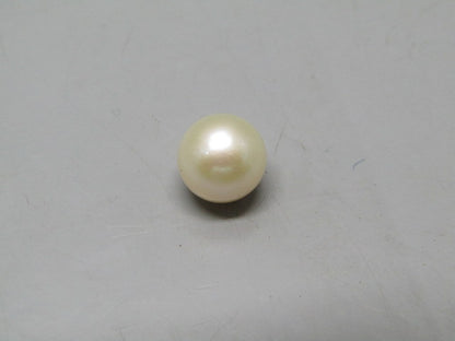 Pearl South Sea (Moti) 4.55 Carats South Sea (Moti) 4.55 Carats CSQ0042502