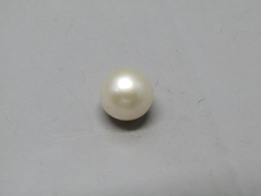 Pearl South Sea (Moti) 4.96 Carats South Sea (Moti) 4.96 Carats CSQ0042508