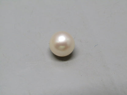 Pearl South Sea (Moti) 4.78 Carats South Sea (Moti) 4.78 Carats CSQ0042511