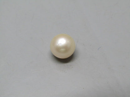 Pearl South Sea (Moti) 4.95 Carats South Sea (Moti) 4.95 Carats CSQ0042516