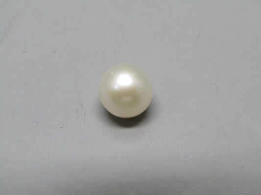Pearl South Sea (Moti) 4.84 Carats South Sea (Moti) 4.84 Carats CSQ0042521