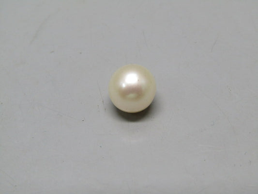 Pearl South Sea (Moti) 4.35 Carats South Sea (Moti) 4.35 Carats CSQ0042536
