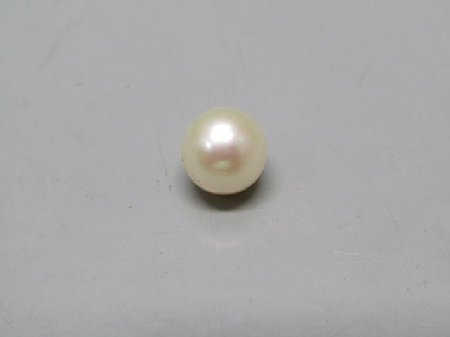 Pearl South Sea (Moti) 4.55 Carats South Sea (Moti) 4.55 Carats CSQ0042537