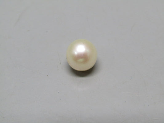 Pearl South Sea (Moti) 4.55 Carats South Sea (Moti) 4.55 Carats CSQ0042537